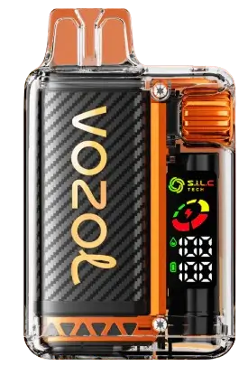 Vista Vape 20000